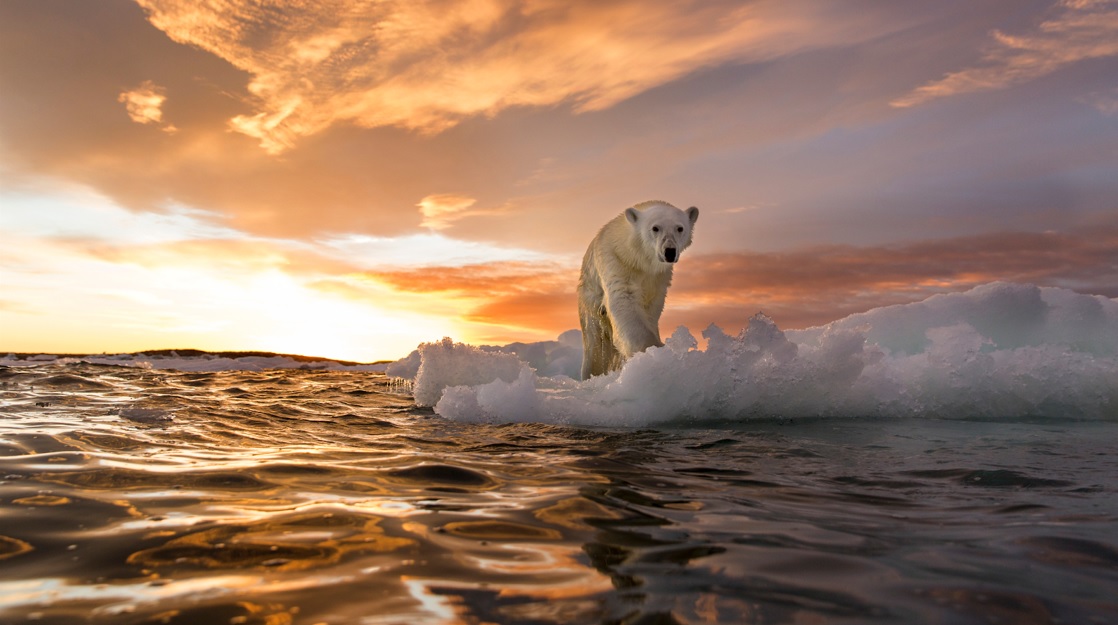 Effects of Climate Change