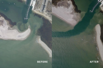 Environmental Impact