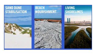 Mangrove Preservation