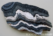 Metamorphic Rocks